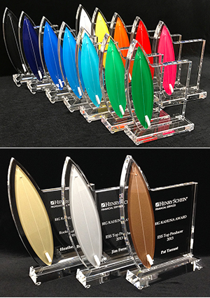 3D Surfing Trophies and Awards